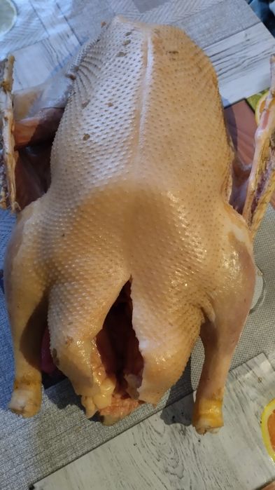 Утки Гуси тушками мясом