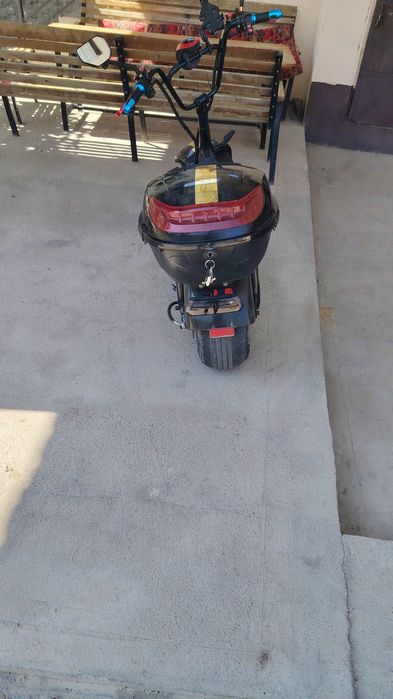 Sity Coco harley