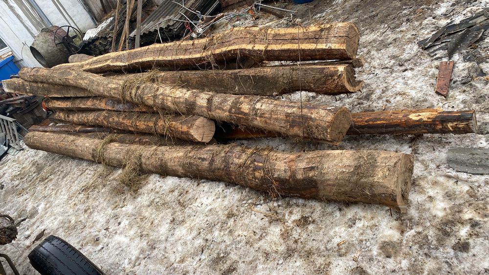 Grinzi de stejar de vânzare