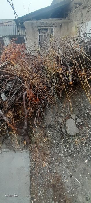 o'tin sotiladi quruq