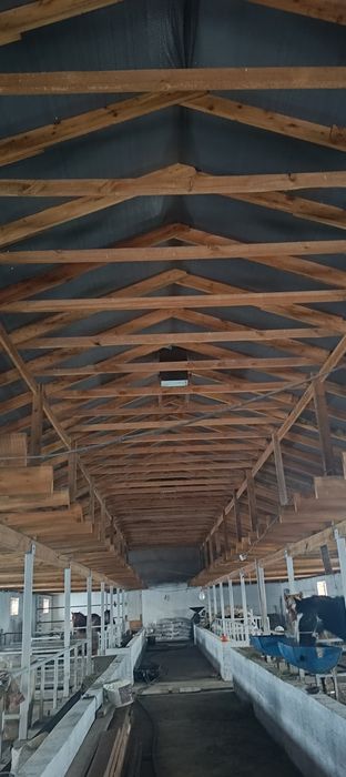 Откорм база Астана