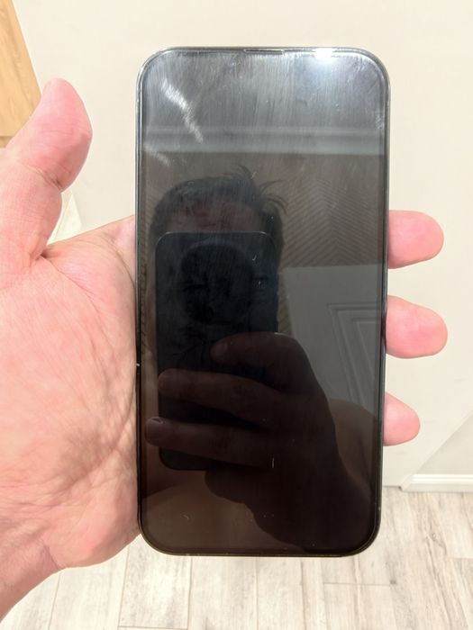 iPhone 13 Pro max 256Gb