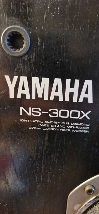 Boxe Yamaha NS-300X
