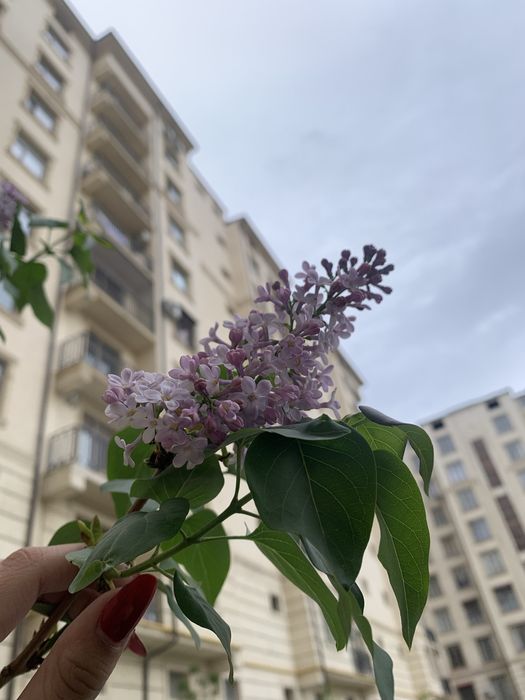 Продается квартира со всеми мебелью и техникой
