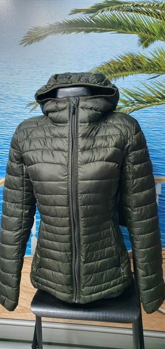 Geagă cu glugă, Napapijri