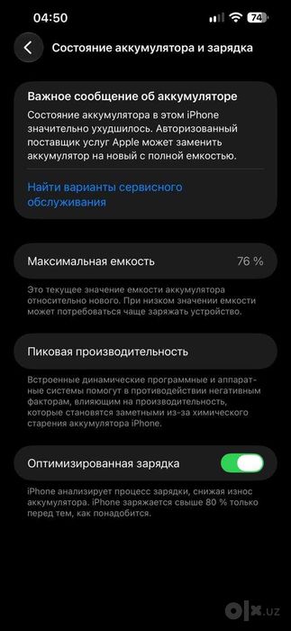 13 Pro Max Apple