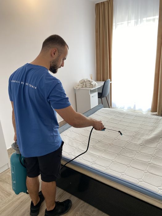 Curățare tapițerii