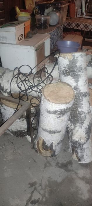 Дрова березы пеньки