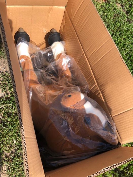 PonyCycle-Поницикл