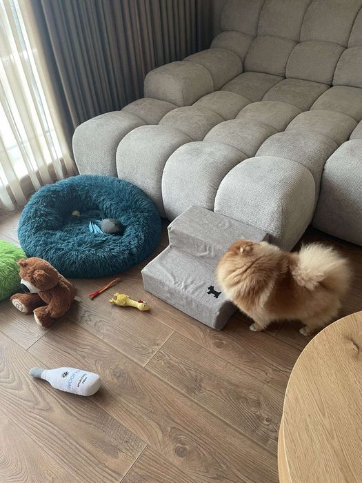 продава стълбички за домашни любимци