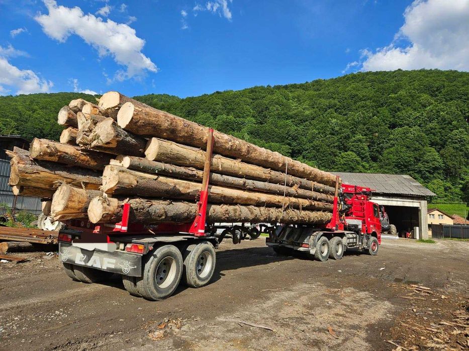 Balena Daf CF  transport lemn bușteni, piese de schimb remorci