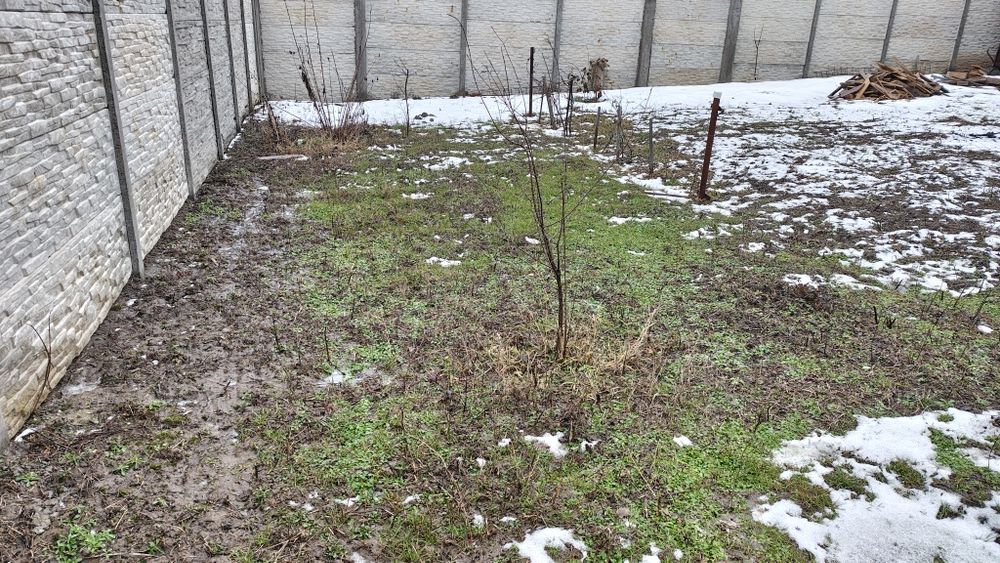 Teren Smeura de Sus împrejmuit