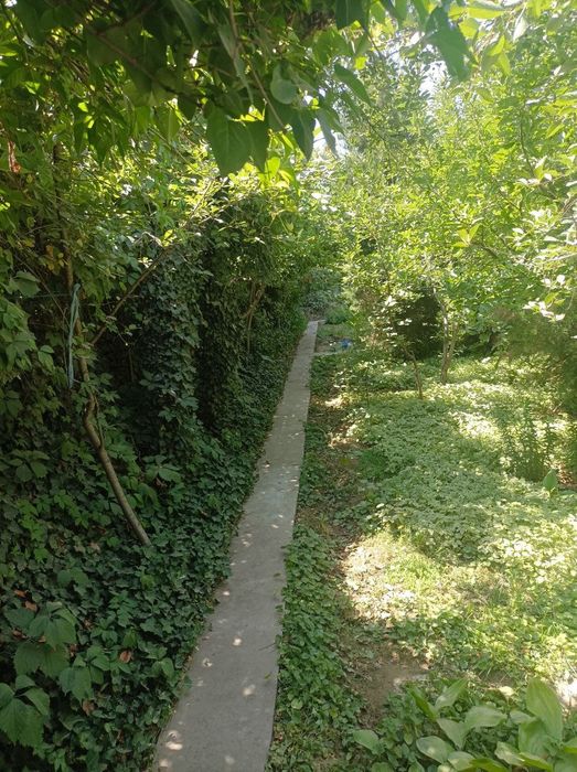 Продам дачу в паркенте