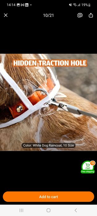 дрешки за кученце яке и дъждобран