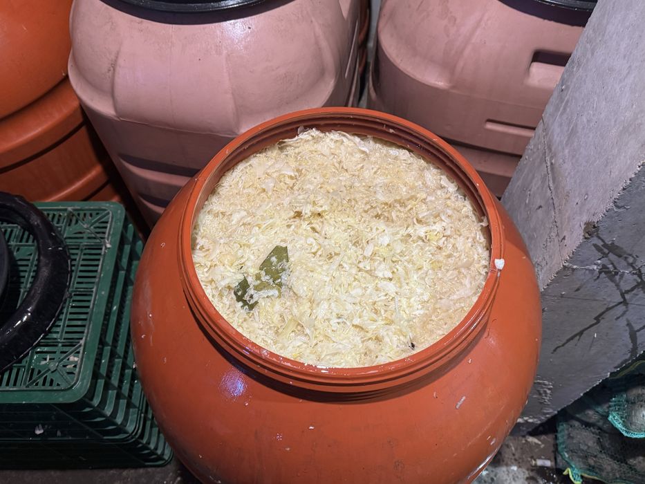 Vând varză  murată pentru sarmale și tocată ,gogonele la borcane ,vrac