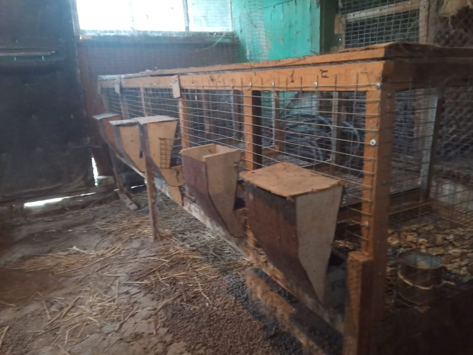 Клетки для кроликов