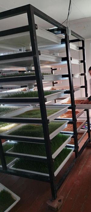 Бараны-Мини гидропонная установка