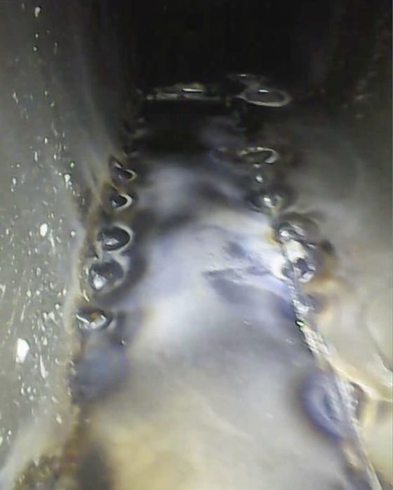 Автоэксперт/Автоподбор/Толщиномер