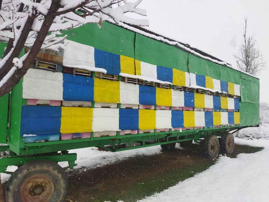 Пчелопавильон на 84 семьи
