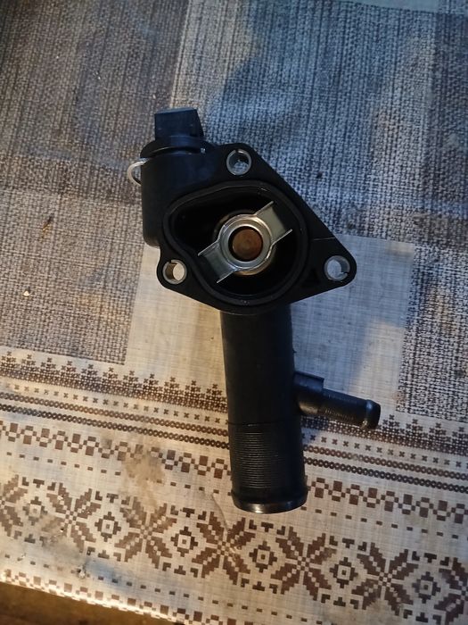 Duster termostat nou