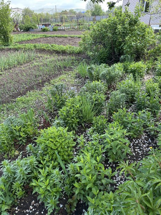 Продам дачный участок