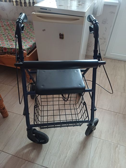 Количка проходилка