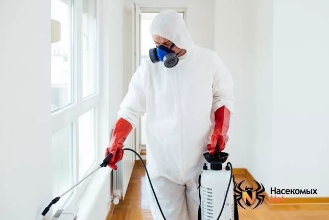 Служба дезинфекции по вызову на дом