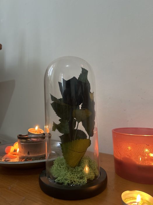 Trandafir negru special criogenizat