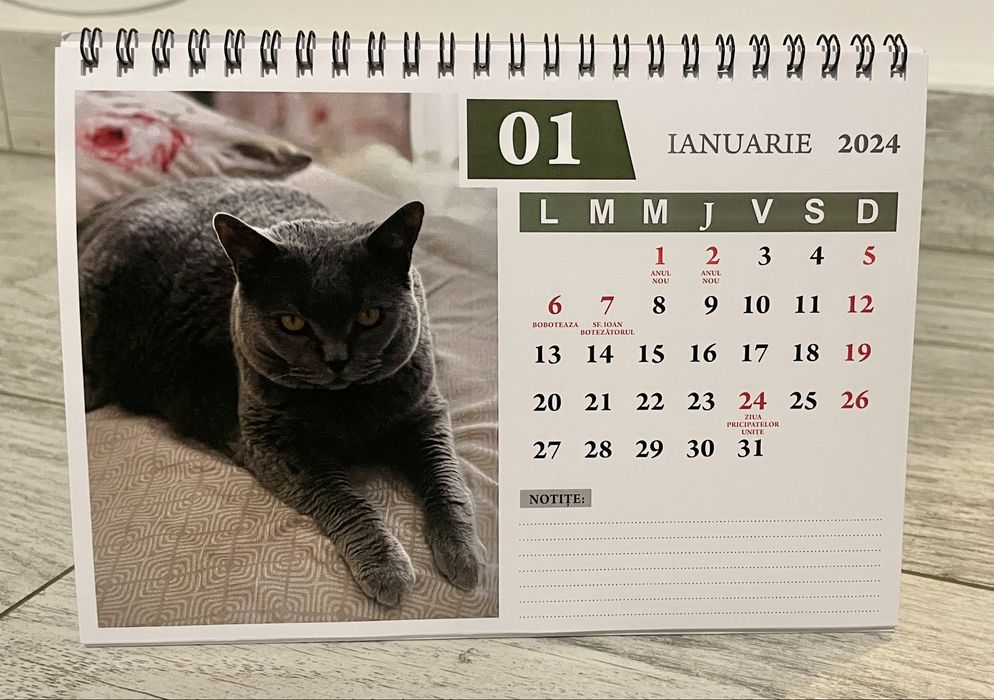 Calendare personalizate cu poze 12 luni