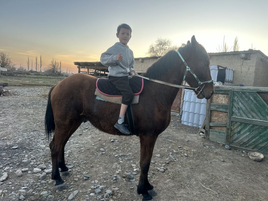 Кунан 2 жаска толады енді