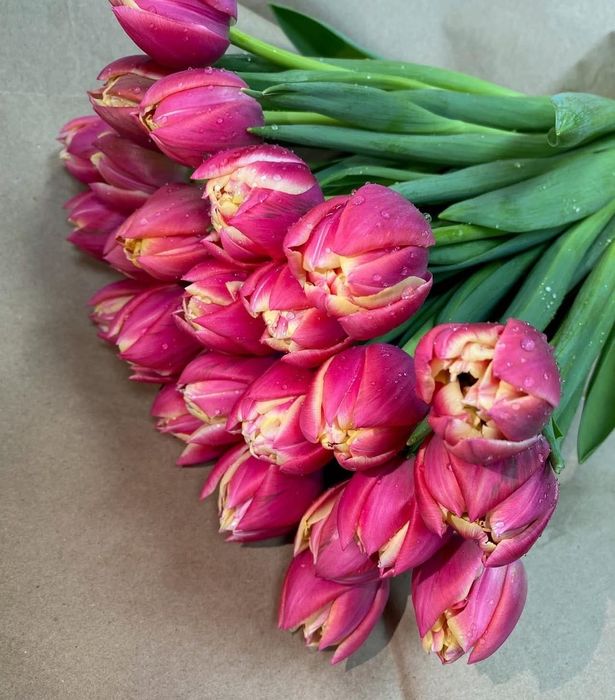 Тюльпаны оптом и в розницу