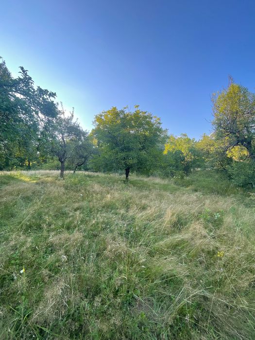 Teren intravilan de vânzare – 7.287 mp – Ibănești Pădure