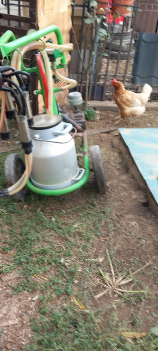 Mulgatoare vaci in stare buna de functionare