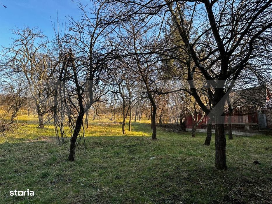Casa cu 4 camere,baie, bucatarie,anexe.pivnita teren 2500 mp
