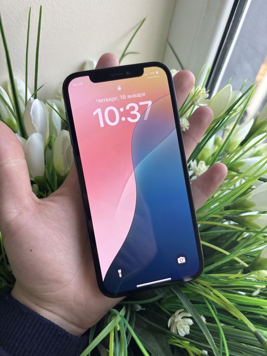 iphone 12 pro orta holar