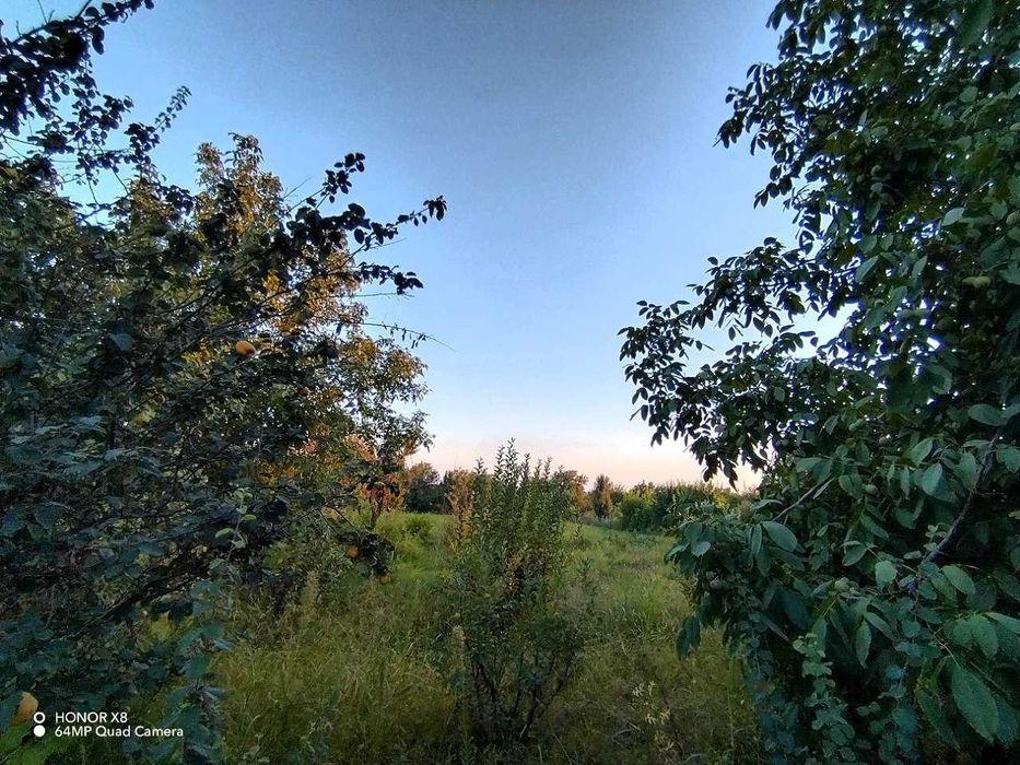 Продаётся дом с участком, расположенный в Туйтепе