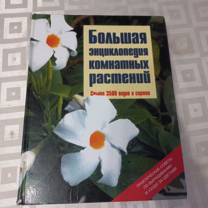 Большая энциклопедия комнатных растений