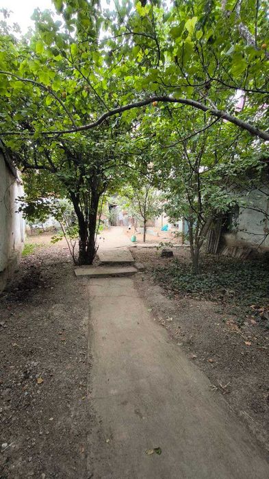 Ташсельмаш Ашхабад парк участок 5 соток