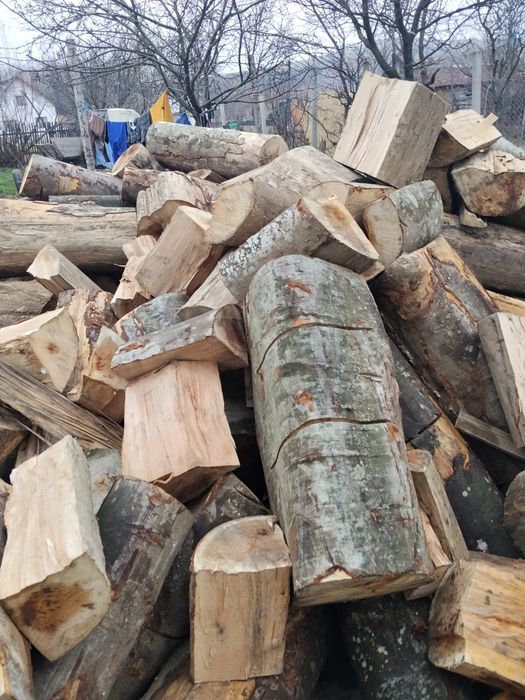 Vind lemne de foc esență tare fag