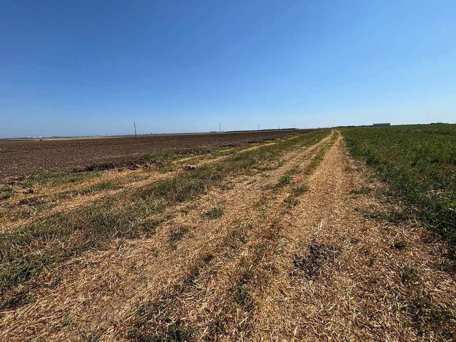 TEREN 15.000 MP Agigea extravilan cu front 102,64 m acces auto și PUZ pentru intrare în intravilan menționat în C.U.