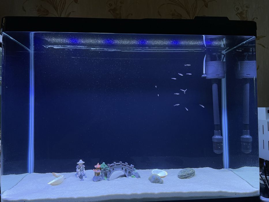 Аквариум ози сотилади балуласиз коган хамма нарсаси