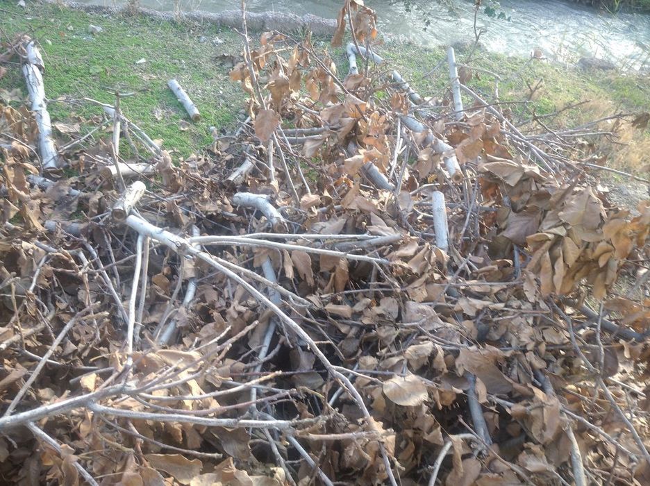 Уткин.сотилади.500.000 енгокники