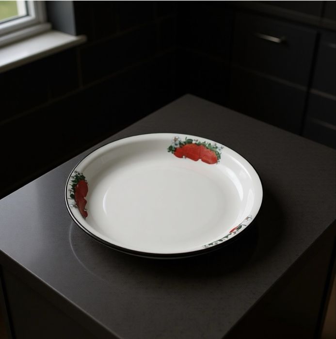 Блюдо сталь эмаль