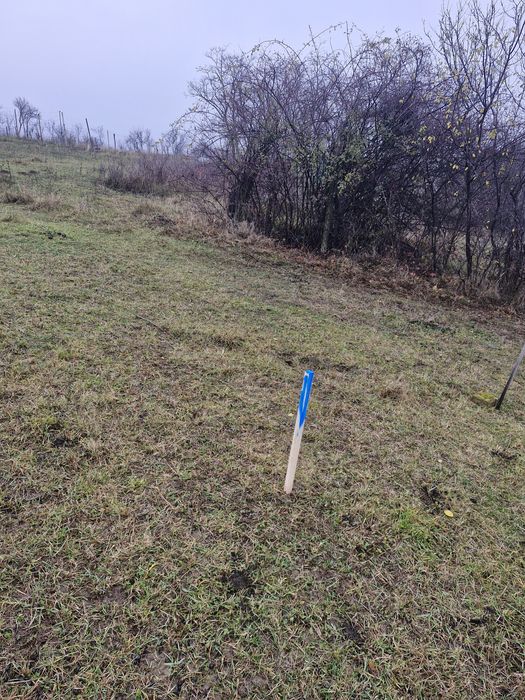 Vand Teren intravilan in Cordau