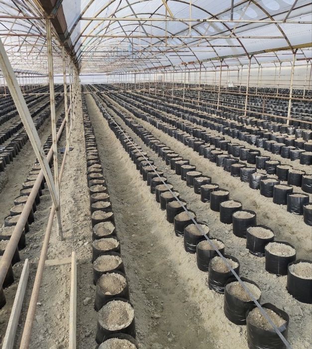 Kochat paket gul va boshqa turdagi urug ekish uchun barcha turdagi