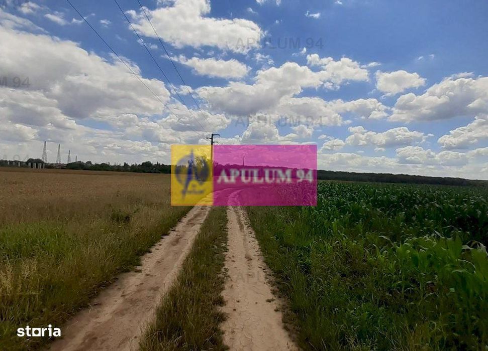 Teren 715mp în Snagov lângă Equestria