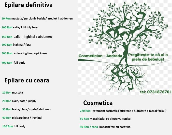 Epilare definitiva cu 4 lungimi de undă, cu ceara și tratamente