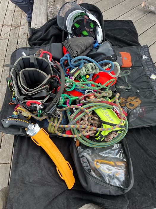 Toaletare arbori / Taieri copaci - firma arborist certificat ISA–Cluj