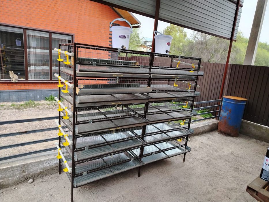 Брудер клетка для переплов