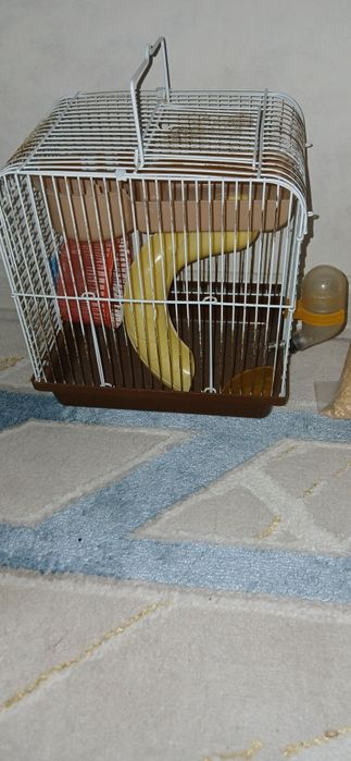 клетка для хомяка